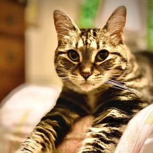 Meet your Posher, Todd